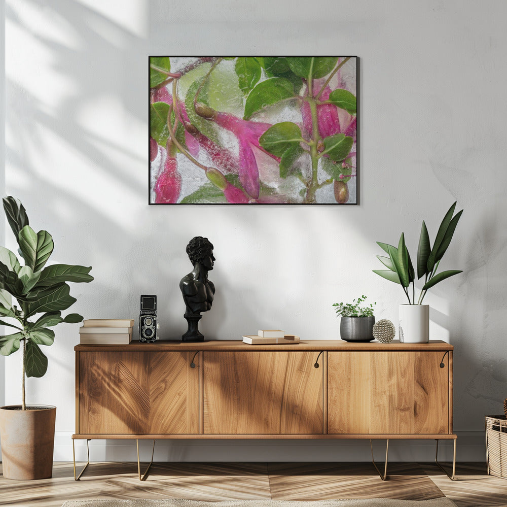 Fuchsia freeze | Poster