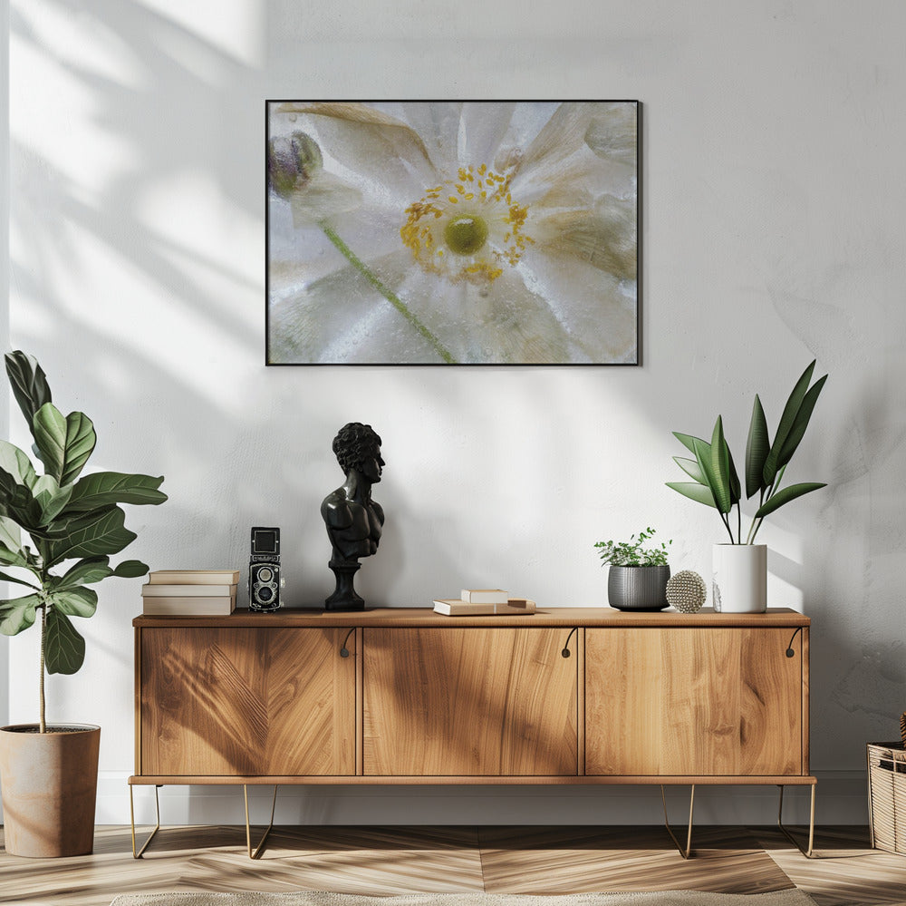 Florales Frost-Poster