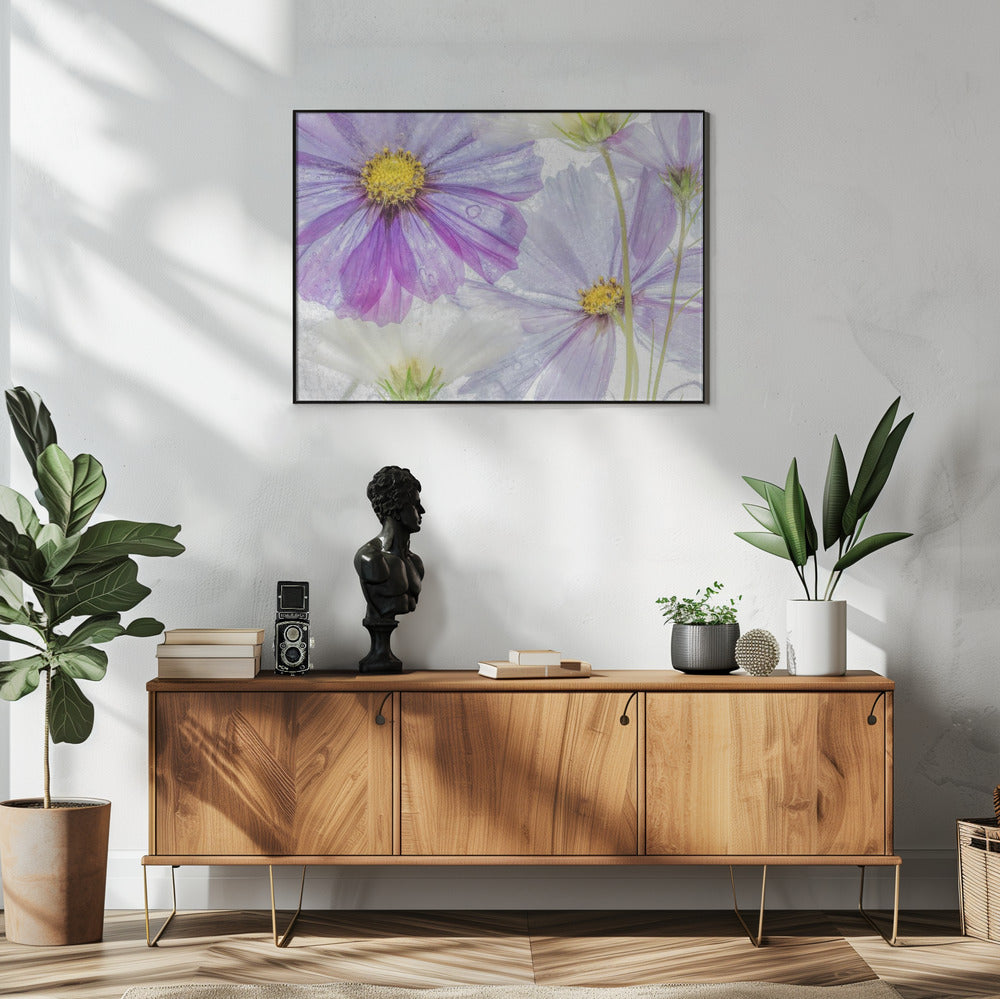 Cosmos cool | Poster