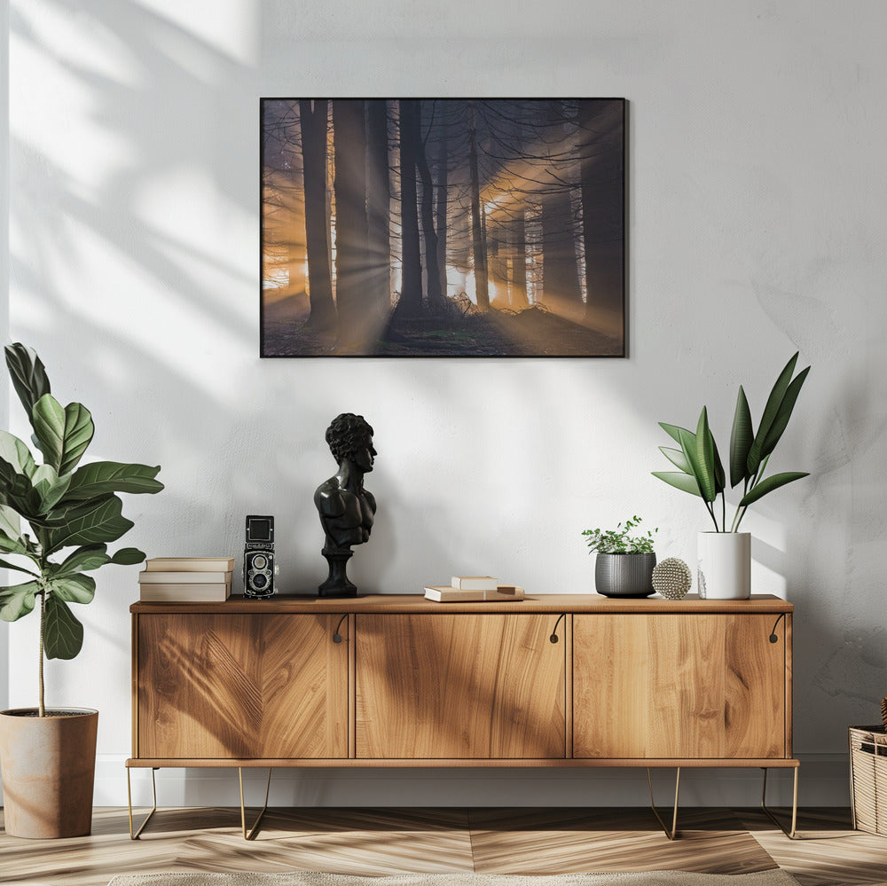 Wald | Poster