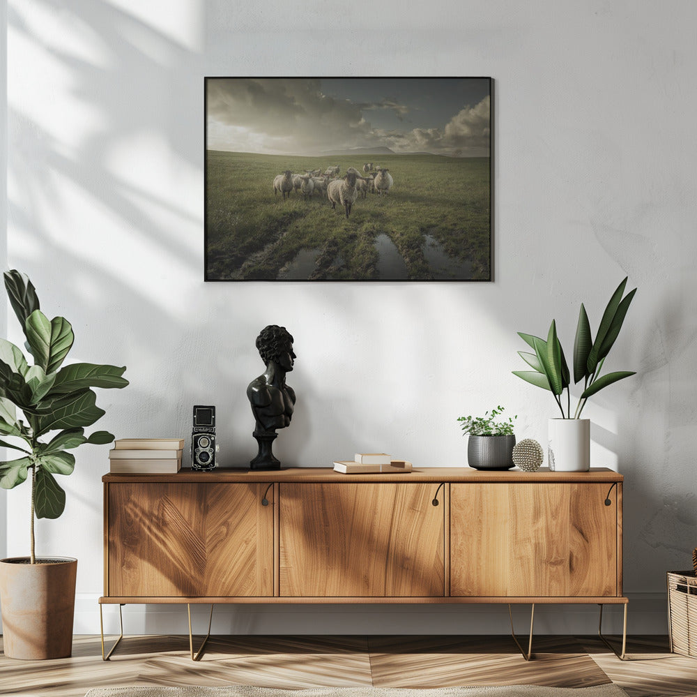 Sheep | Poster