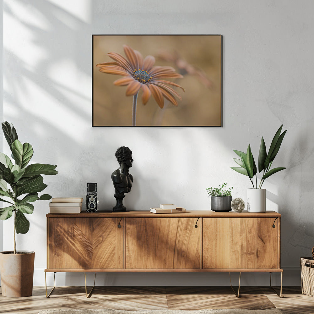 Summer glow | Poster