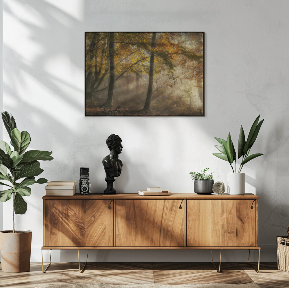 Die Lichter des Waldes | Poster