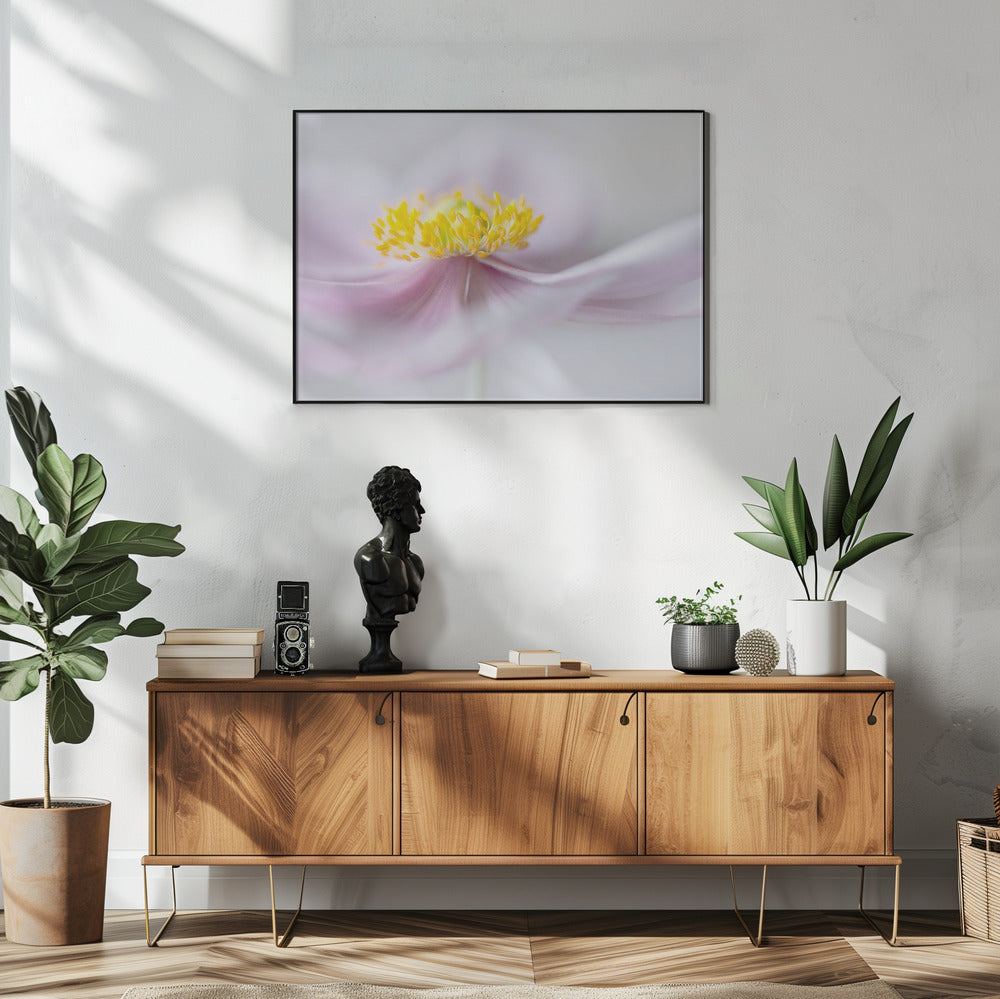 Anemone | Poster