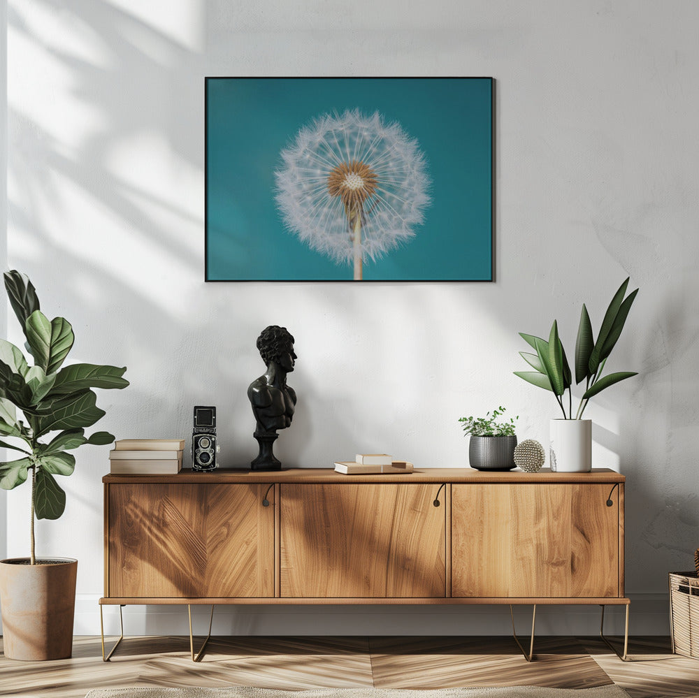 Löwenzahn | Poster