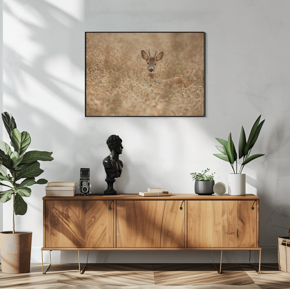 Deer in the field | Poster