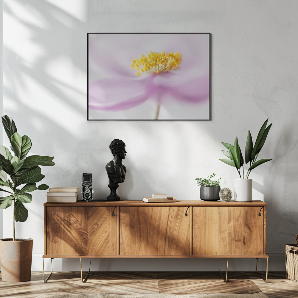 *Anemone* | Poster