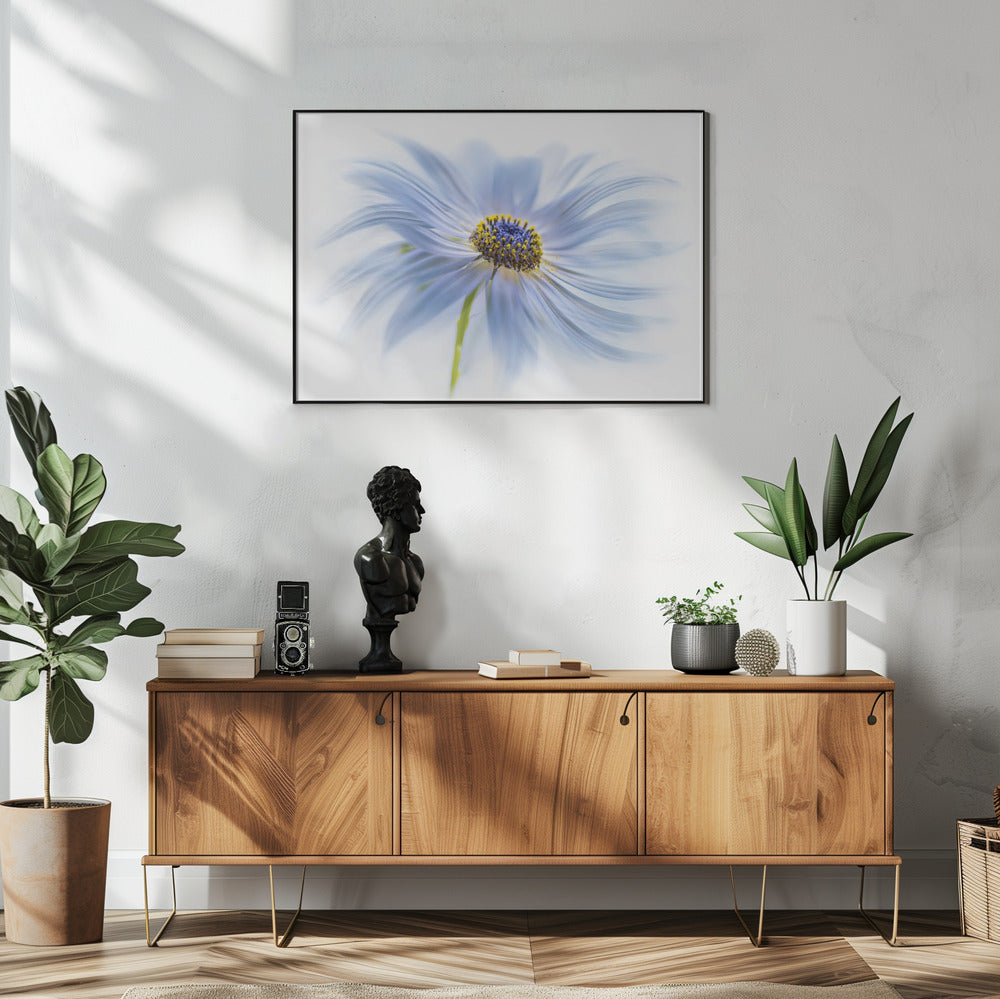 Gänseblümchen-Genuss | Poster