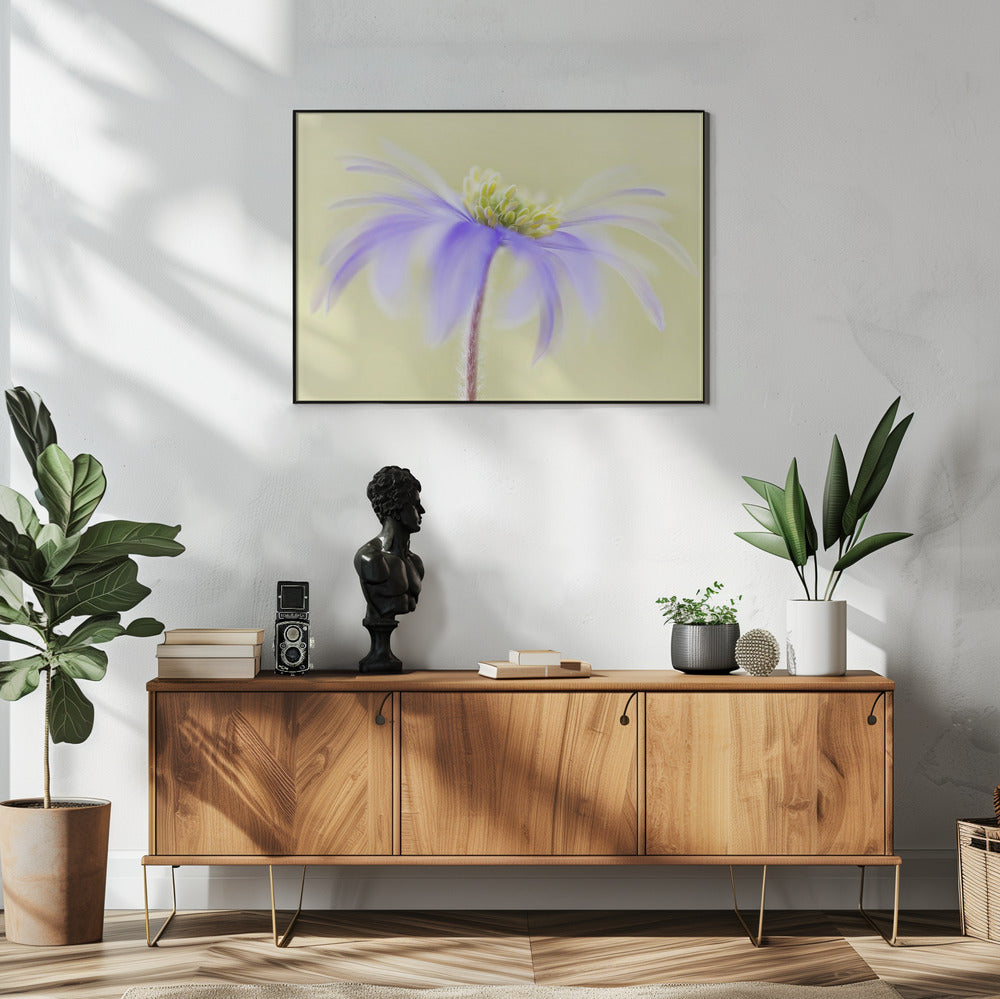 Anemone Blanda | Poster