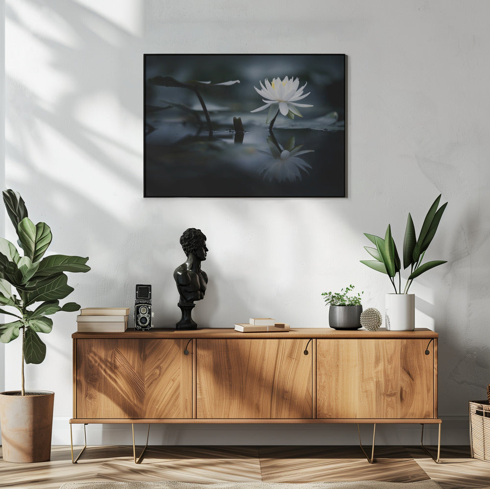 Reflexion | Poster
