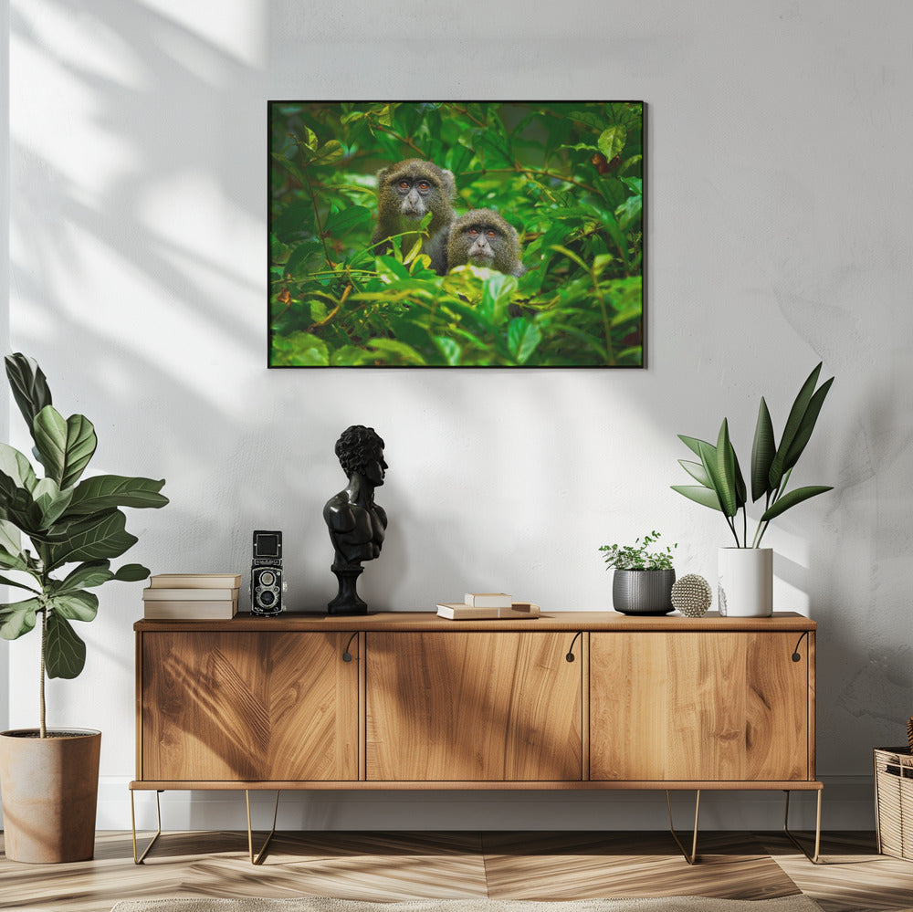 Blauer Affe | Poster