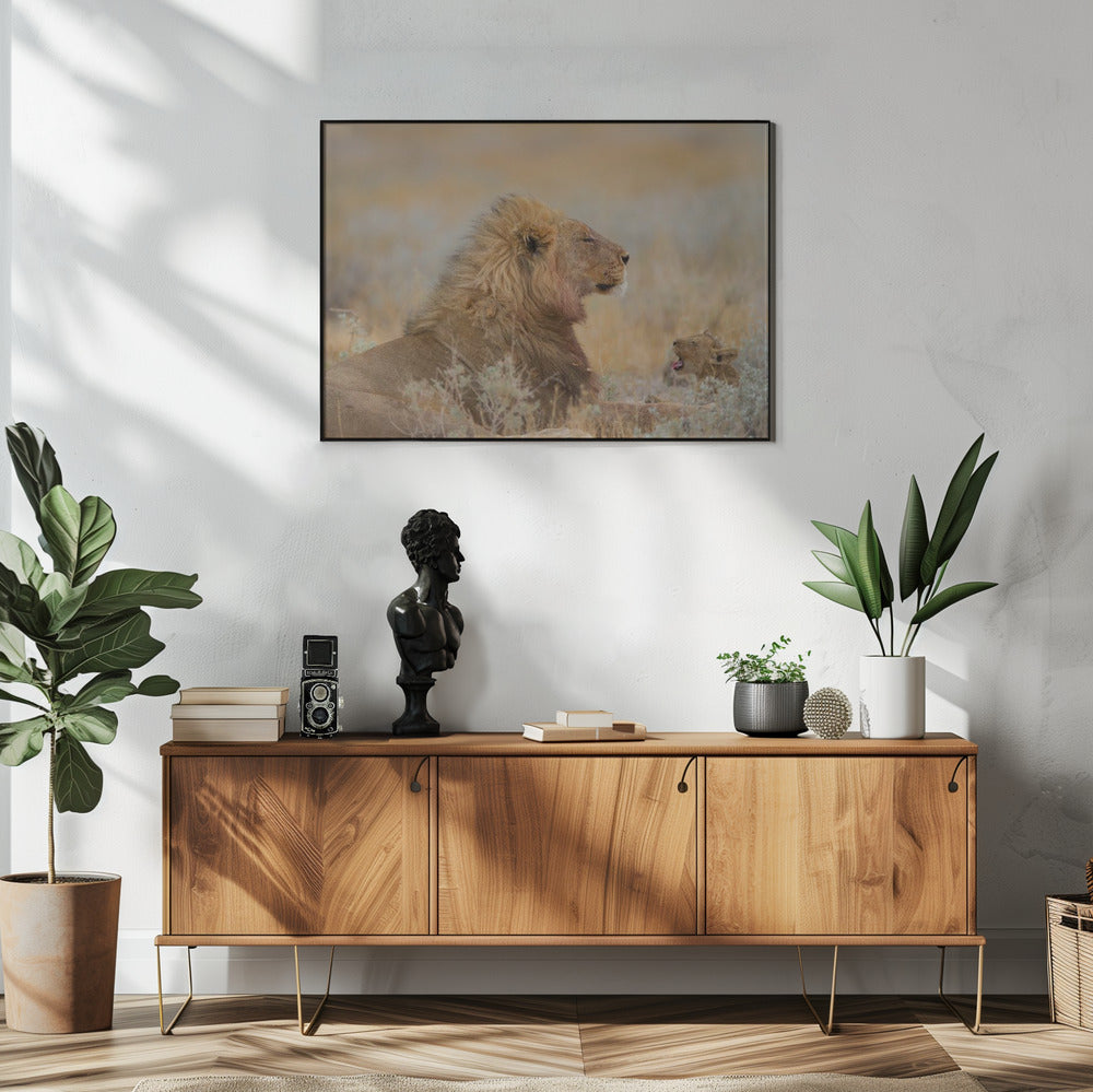 Männlicher Löwe mit Jungem | Poster
