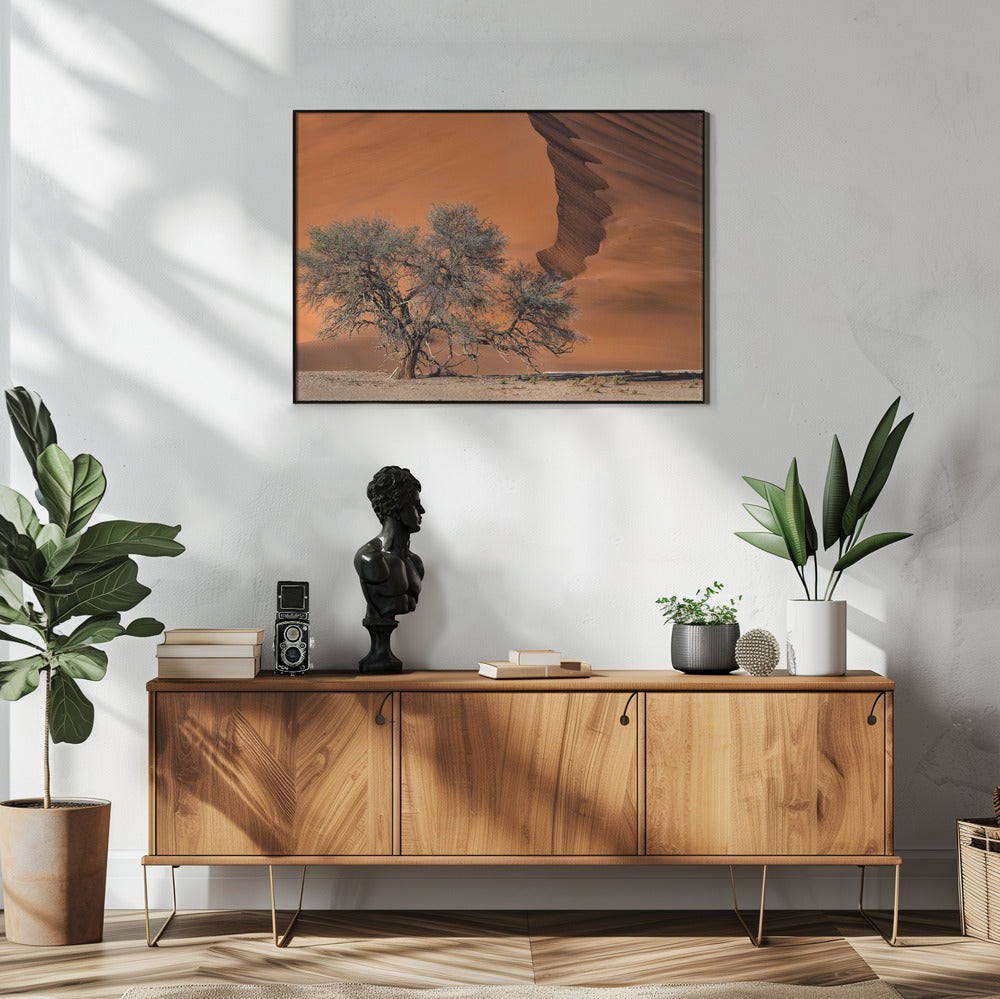 Acacia in the desert | Poster
