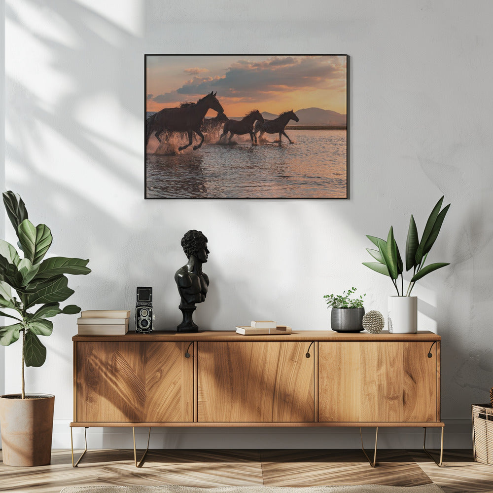 WASSERPFERDE | Poster