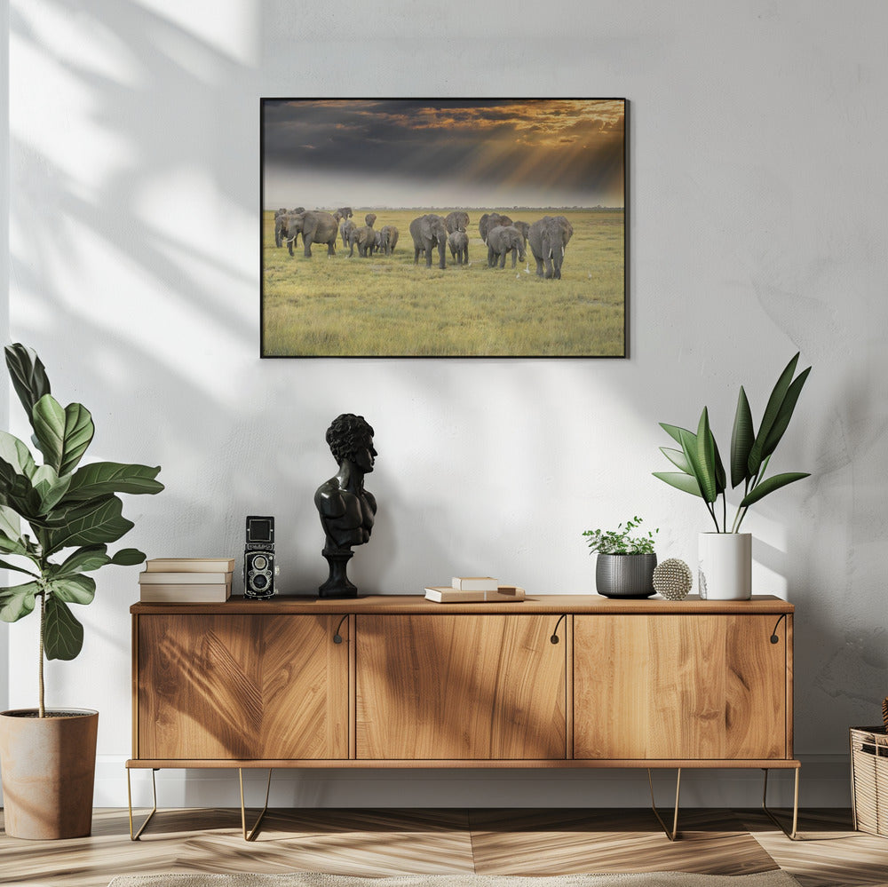 For the love of elephants | Poster