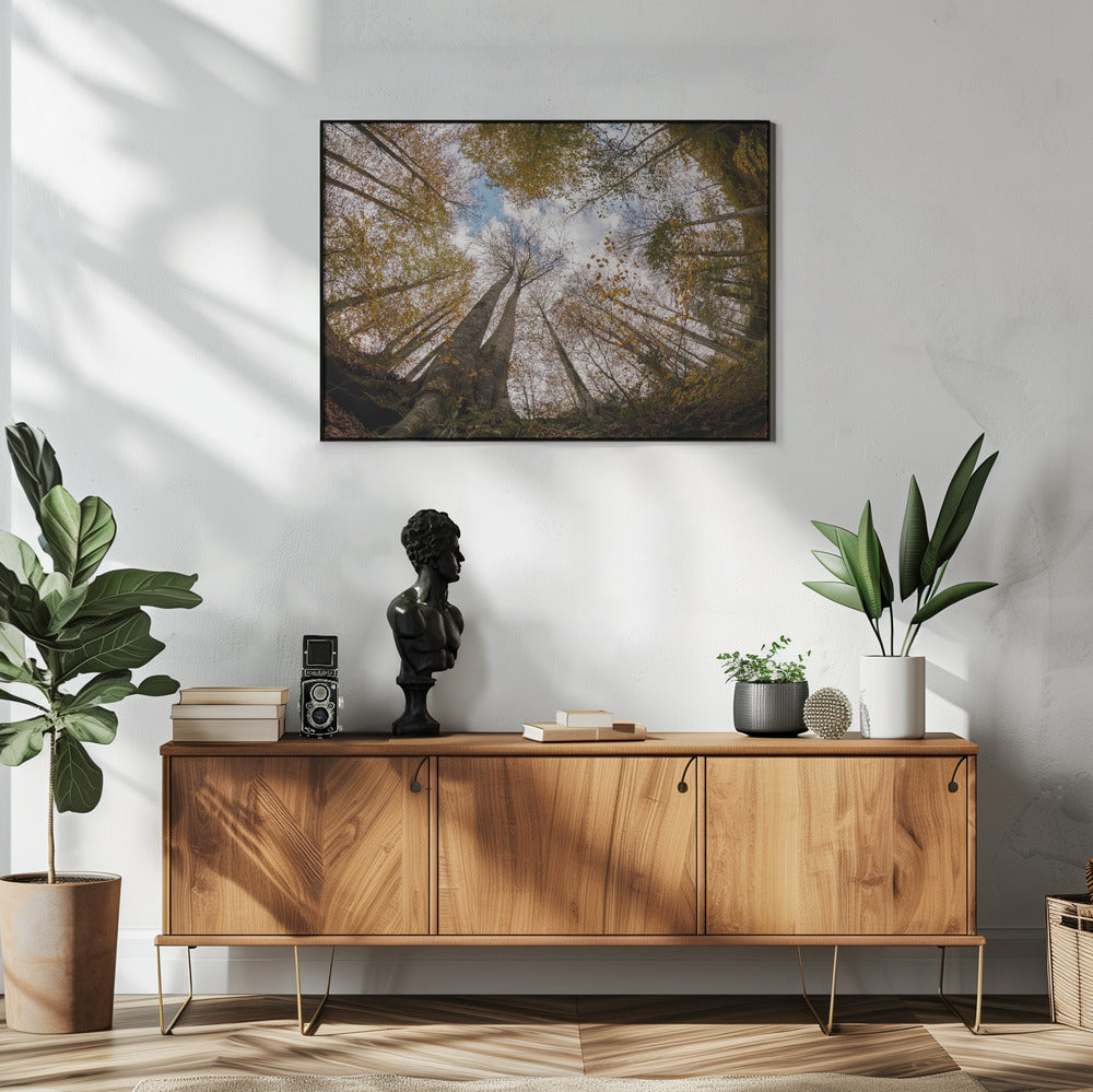 Wald | Poster