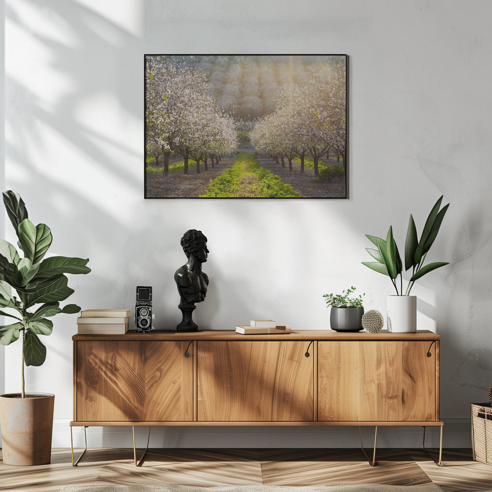Golden Almonds | Poster