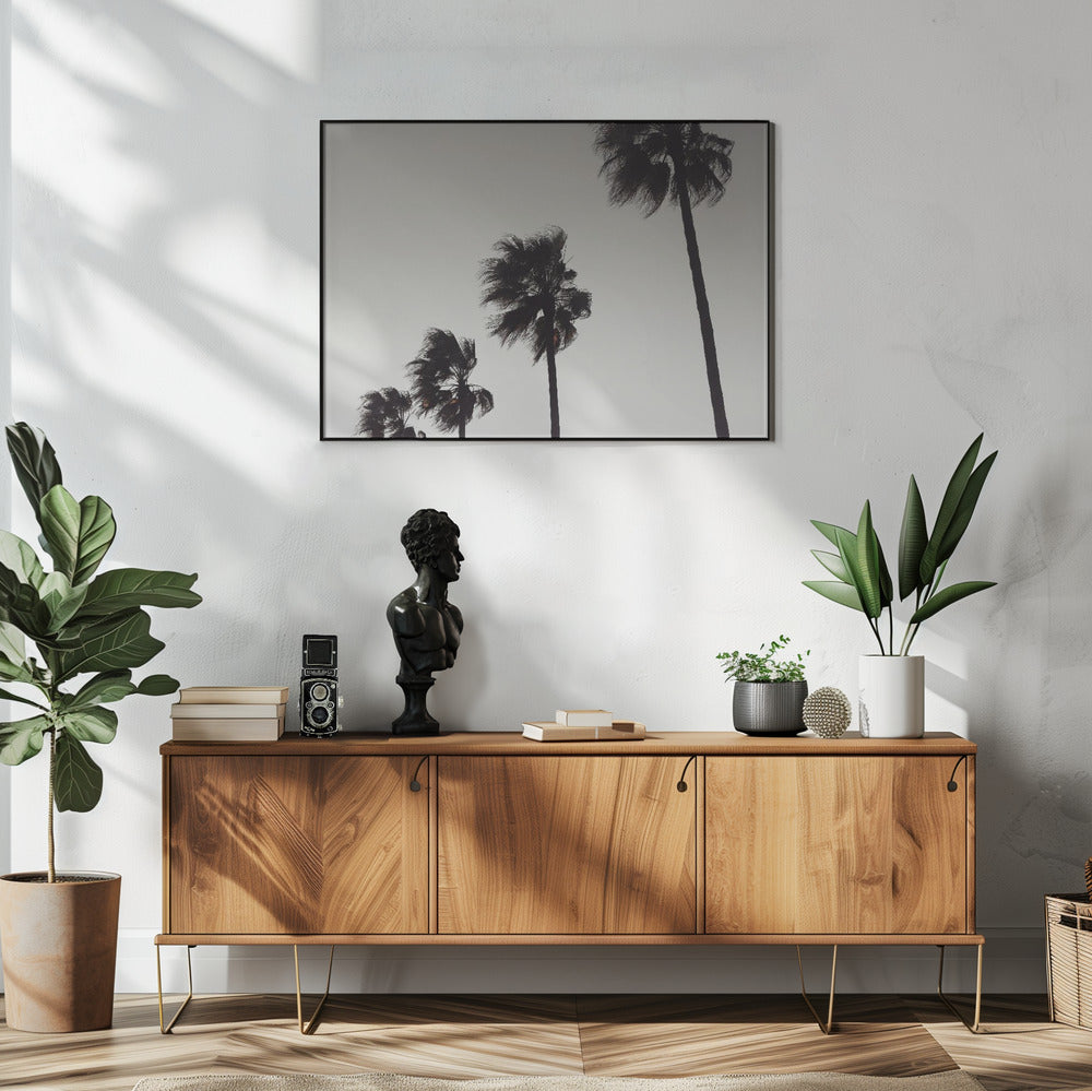 Palm_004 | Poster