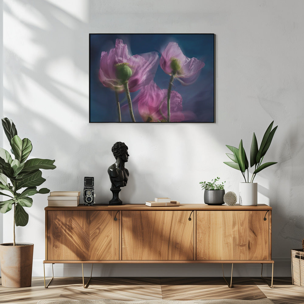 Mohnblumen am Wegesrand | Poster
