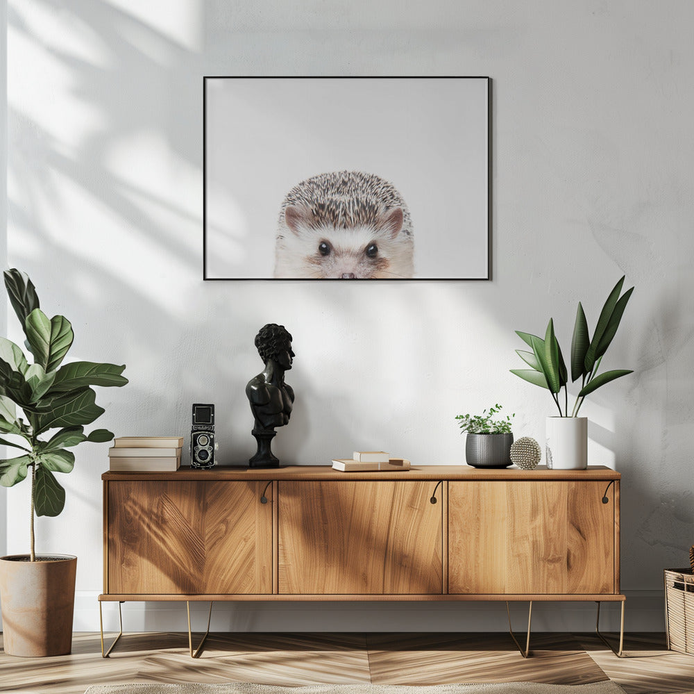 Guckender Igel | Poster