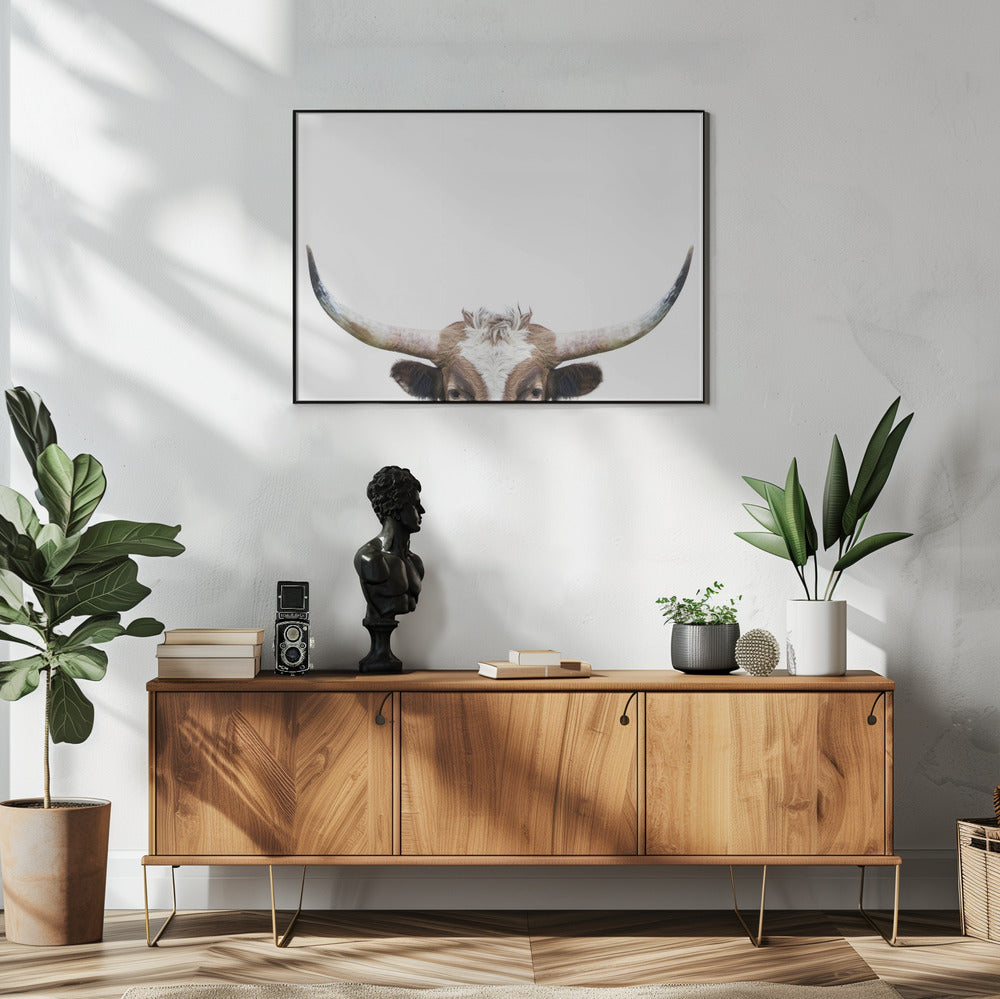 Peeking Longhorn Cow | Poster