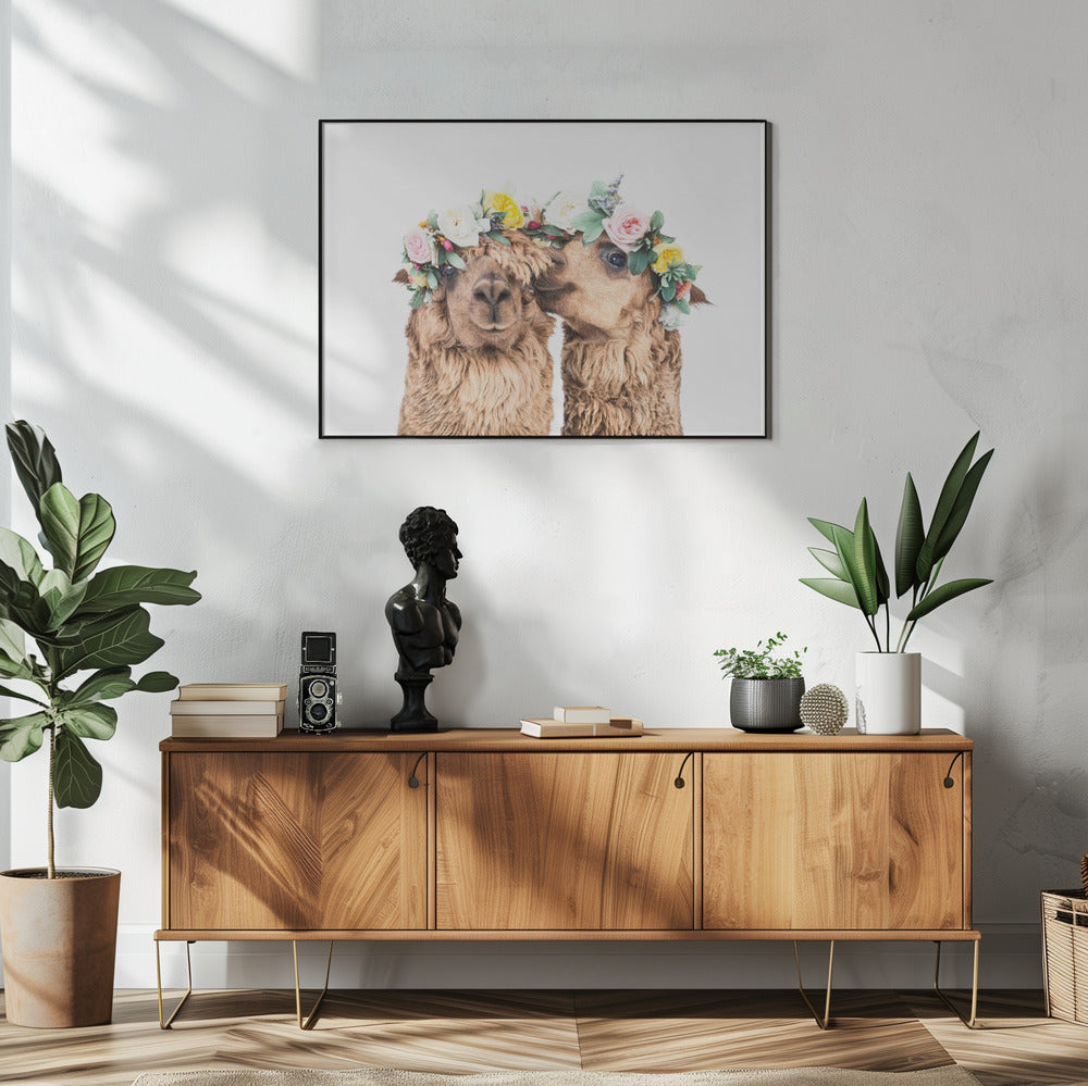 Boho Alpakas | Poster