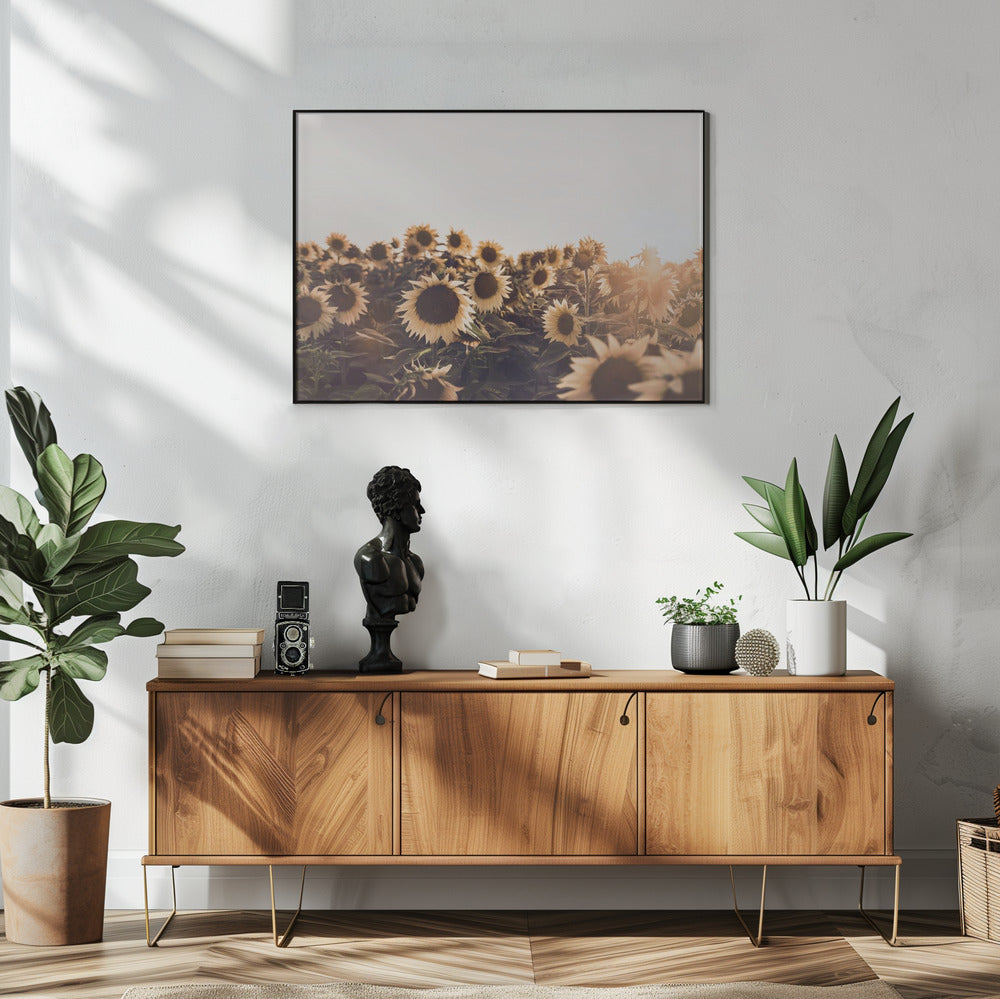 Sonnenblumen | Poster