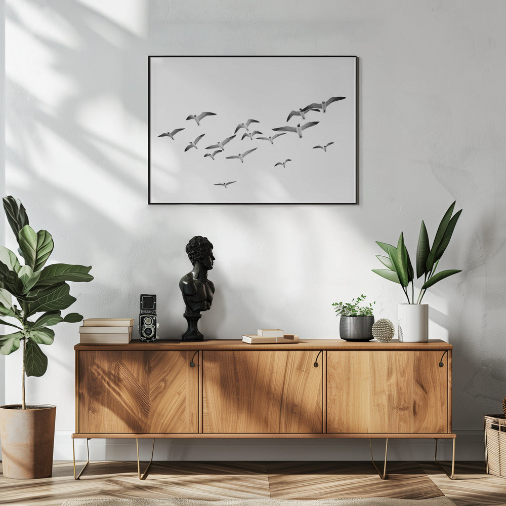 Fliegende Vögel | Poster