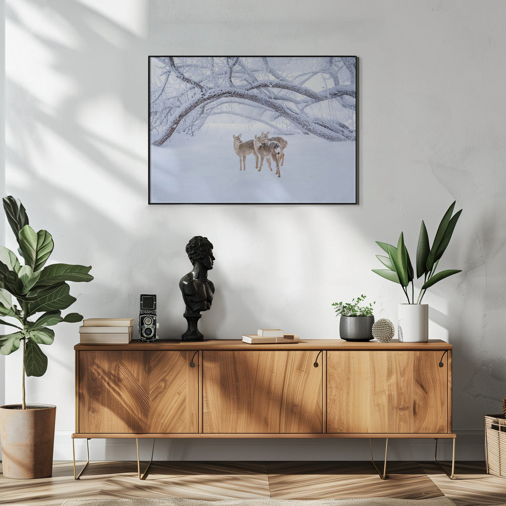 Deers' Walk in Snow | Poster