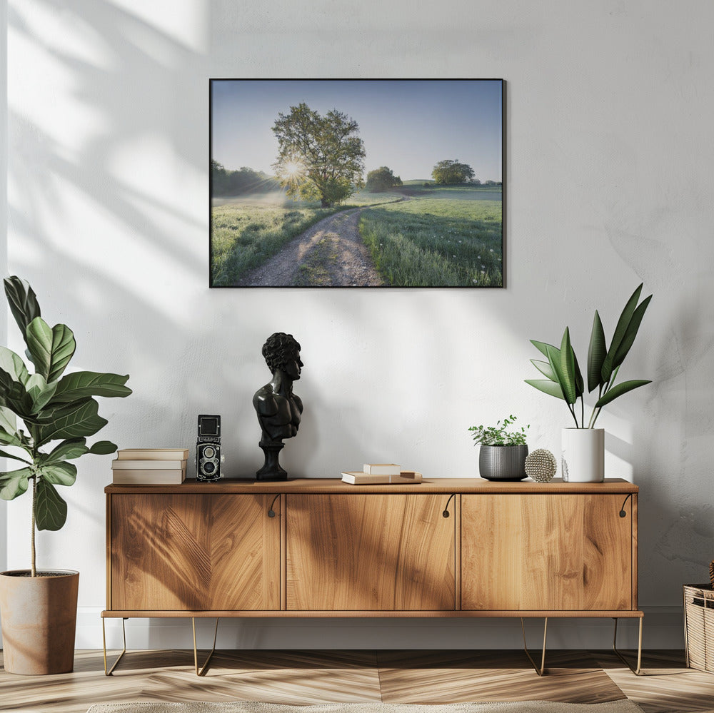 Spring Path | Poster