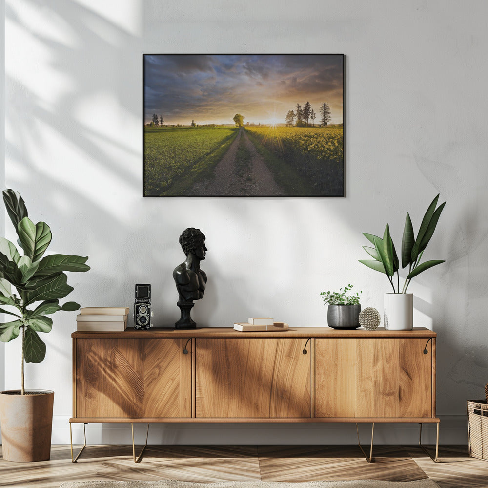 Summer Meadow | Poster