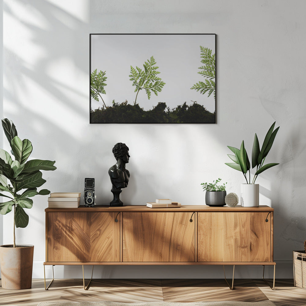 Fern Detail | Poster