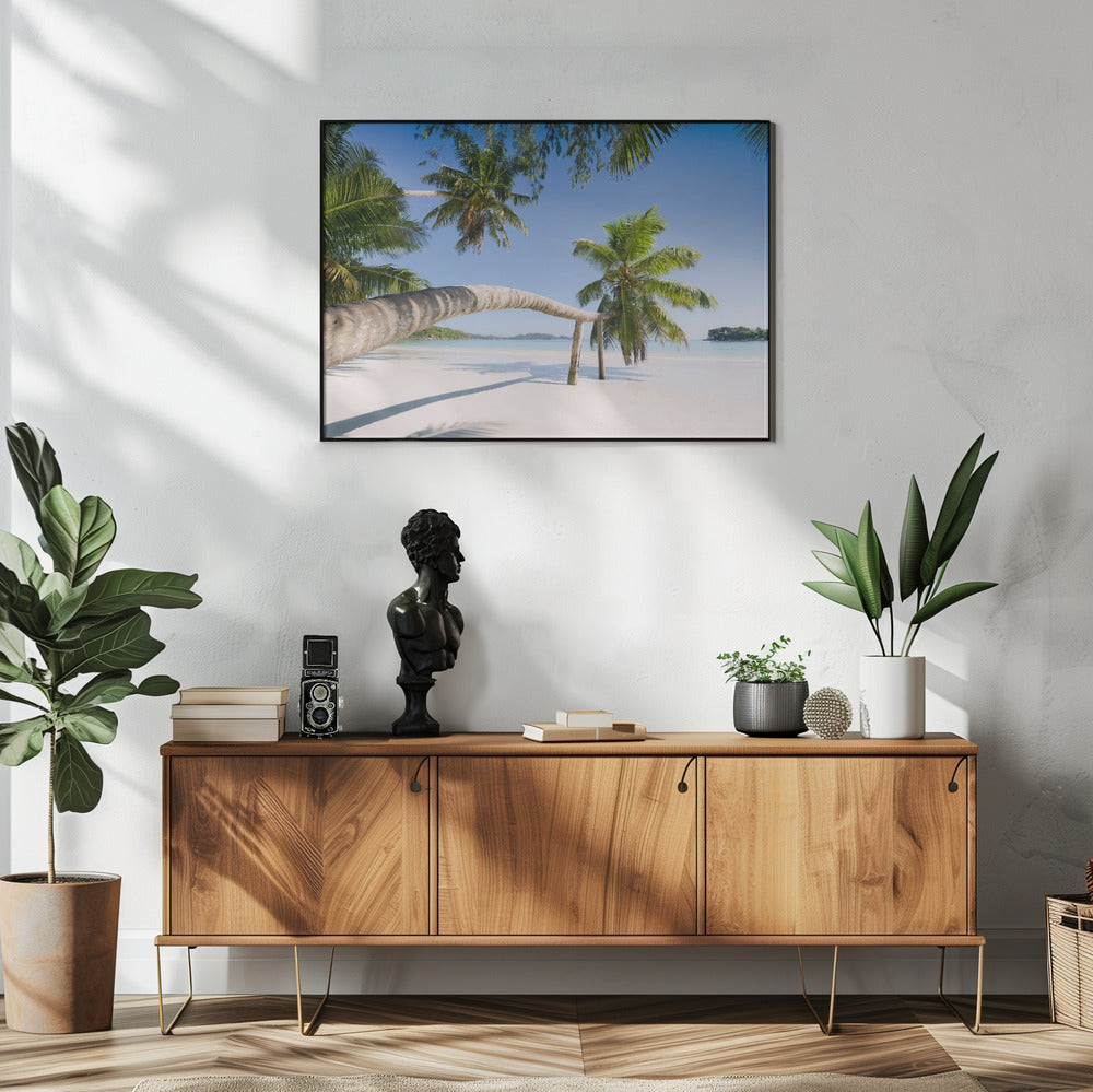 Tropische Palme | Poster