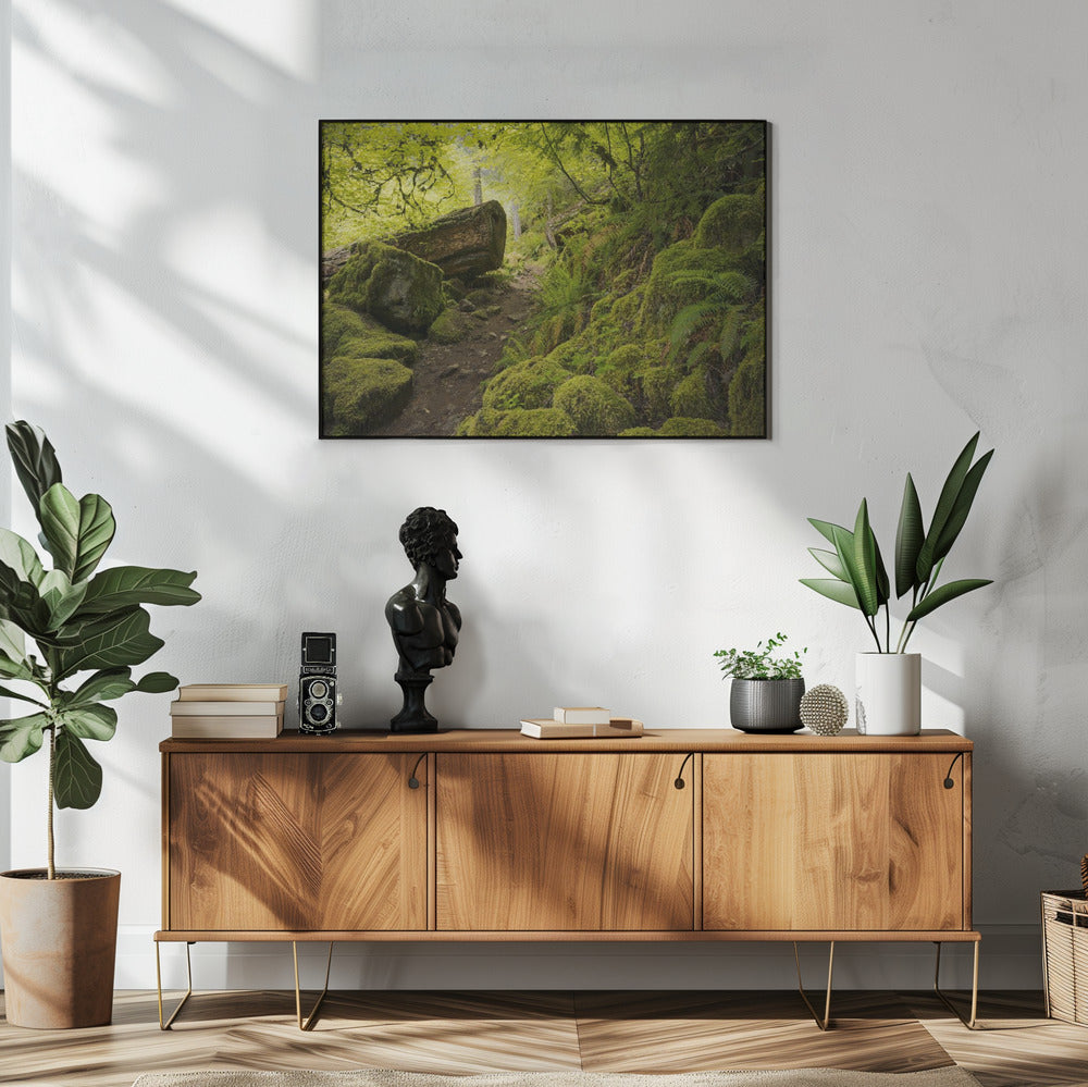Moosiger Pfad | Poster