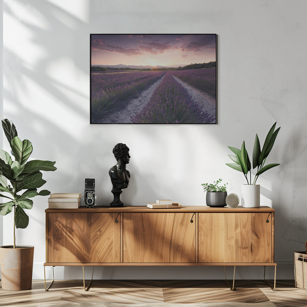 Purple Provence | Poster