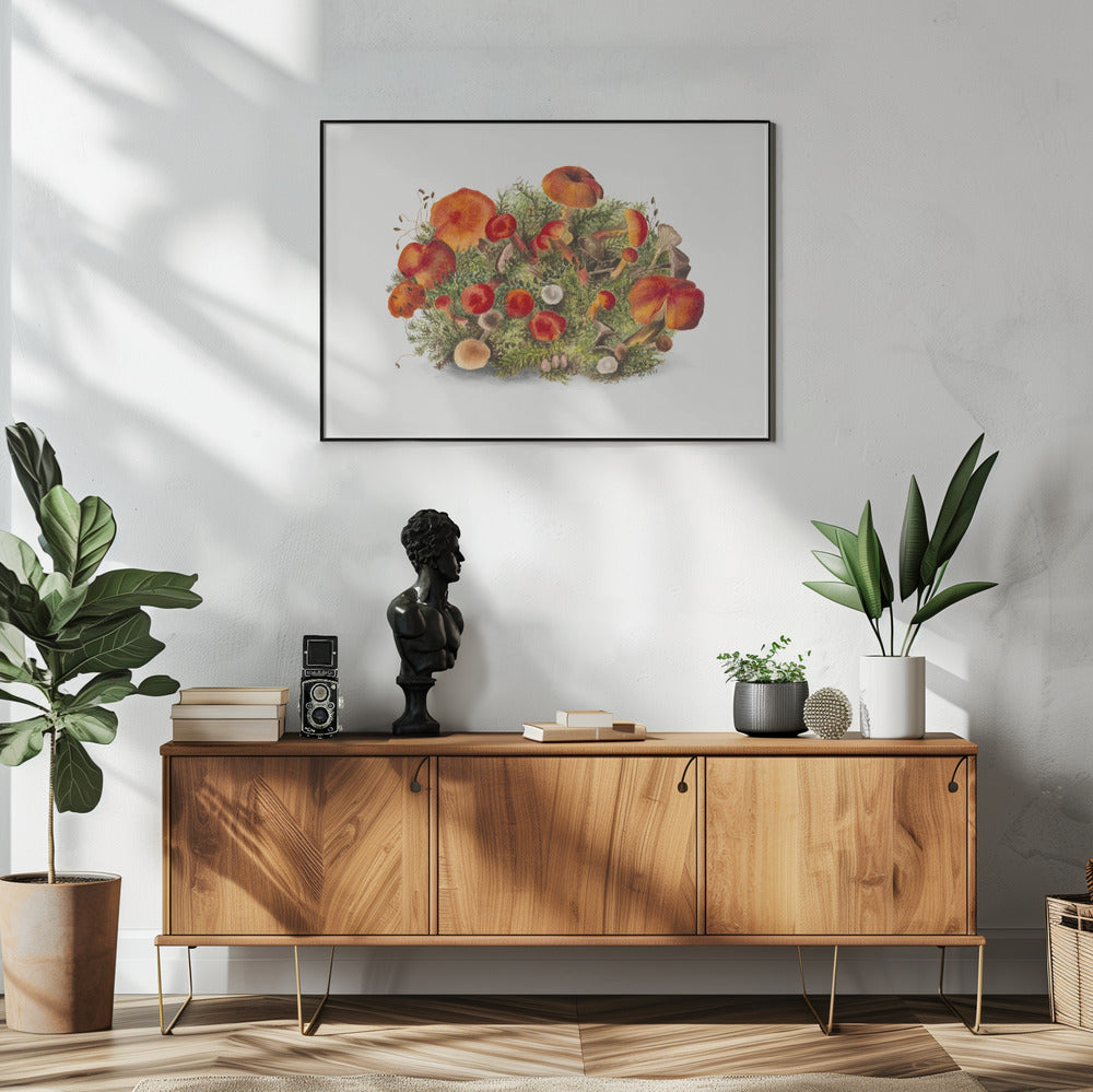 Studie von Pilzen (1880) Horizontal | Poster
