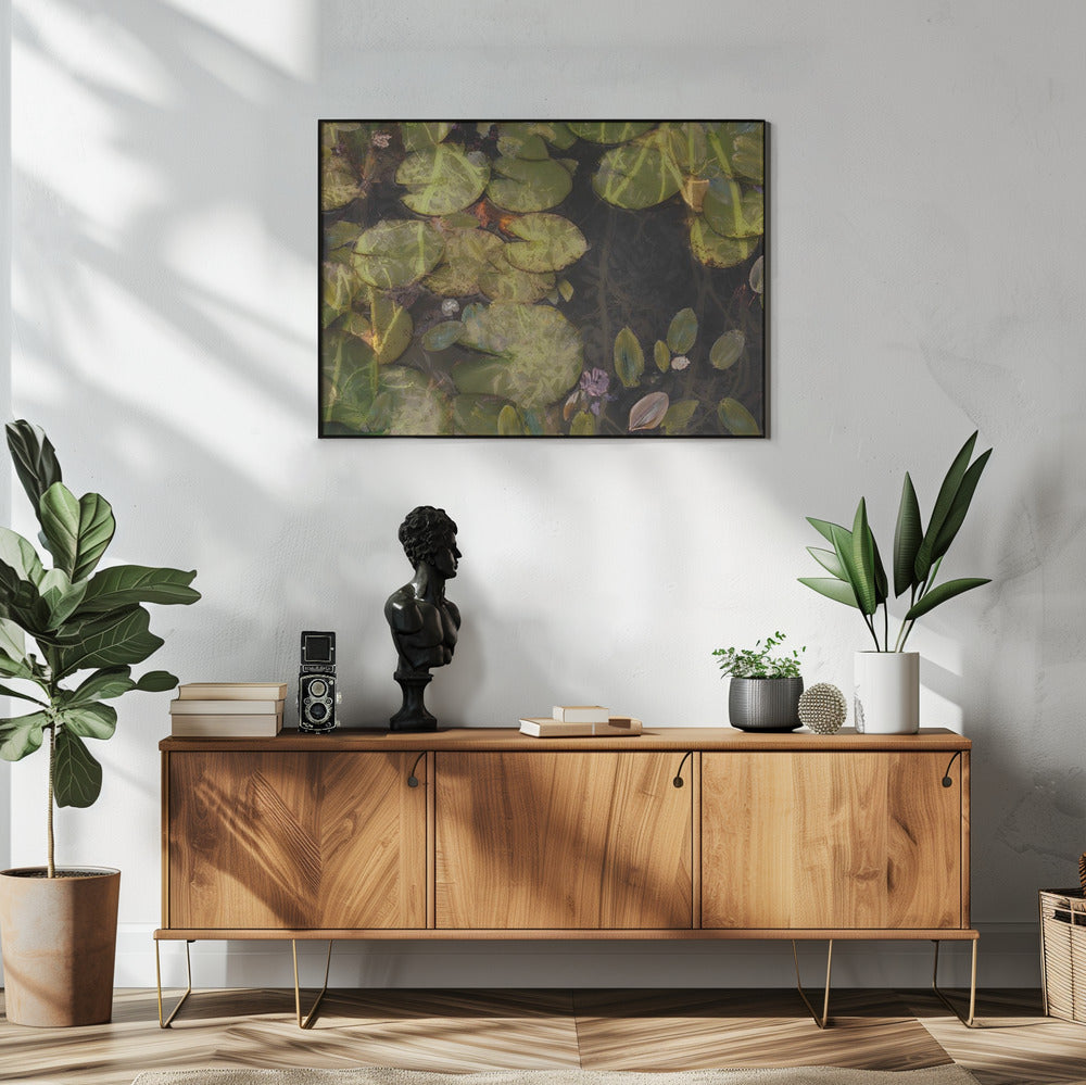 Pond plants | Poster