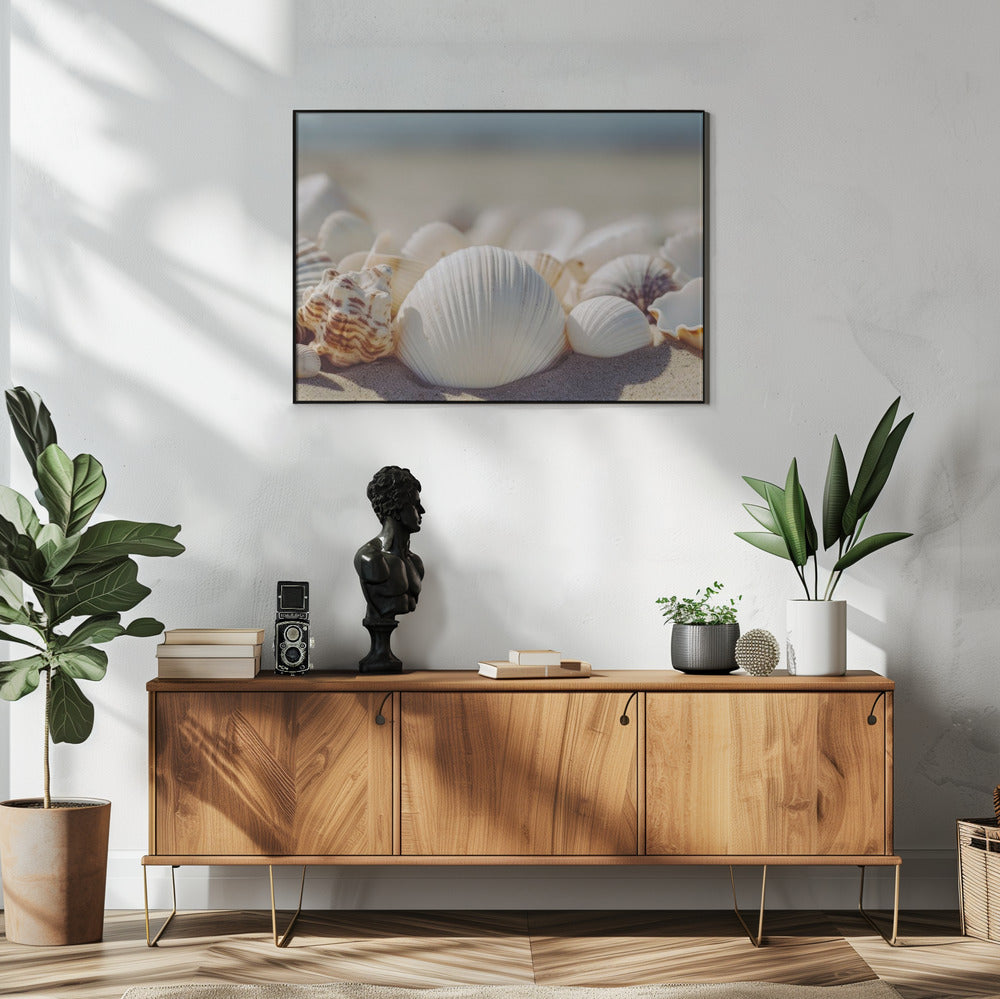 Muscheln am Meer | Poster