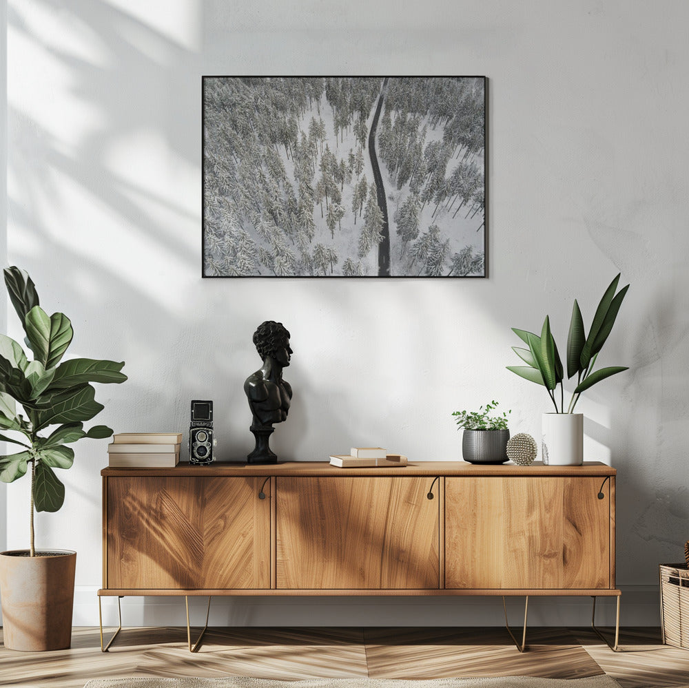 Snow Covered Trees 5 | Poster