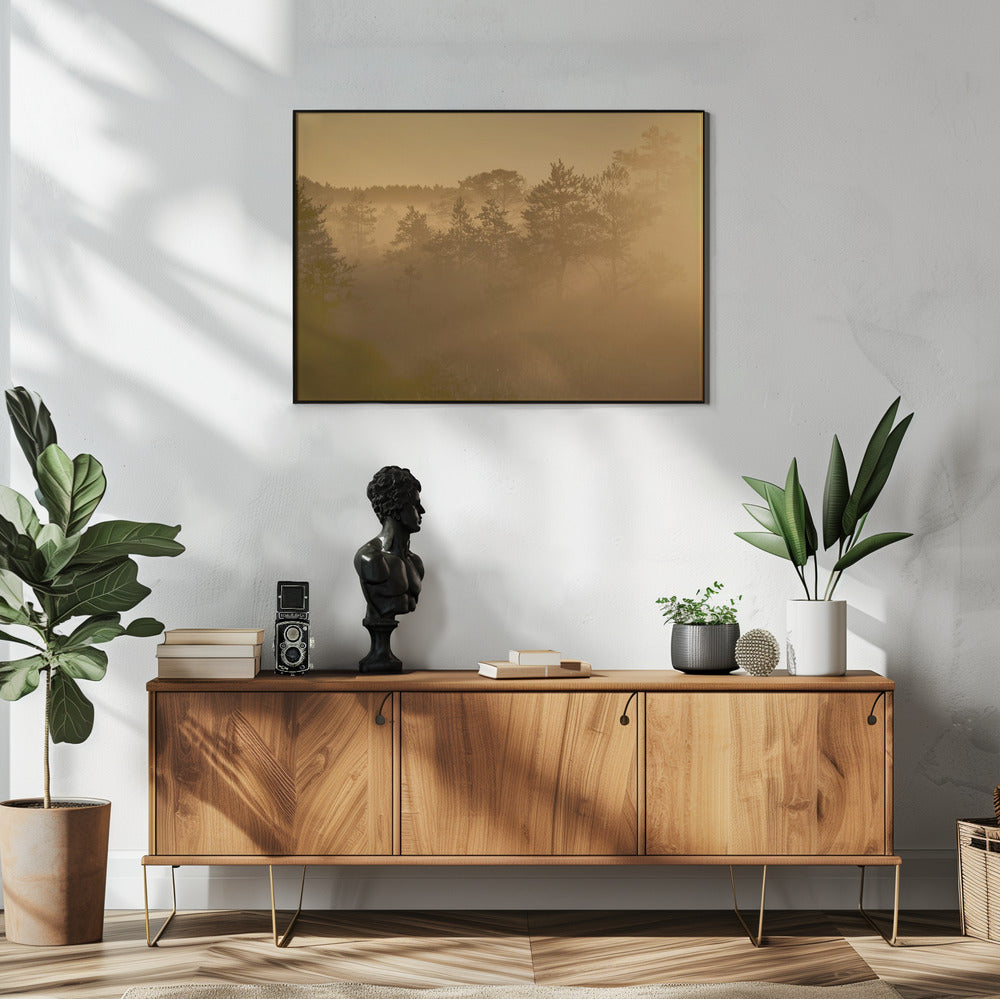 20220809 Dsf8002 1 | Poster