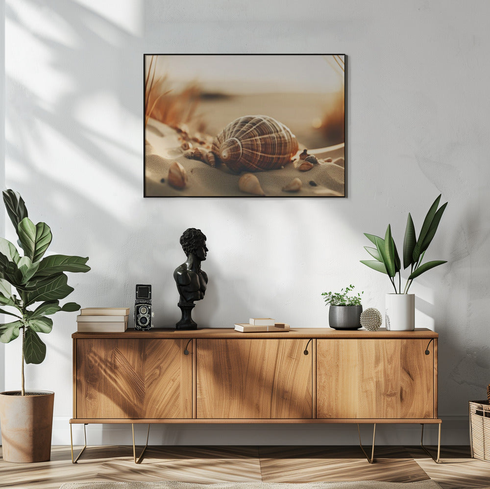 Dunes' Stille Muscheln | Poster