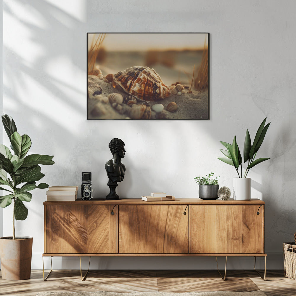 Muscheln bei Sonnenuntergang | Poster