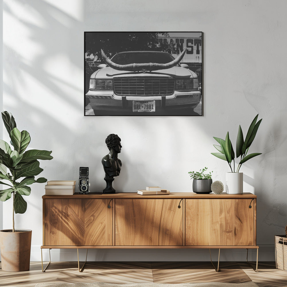 Texas Ride | Poster