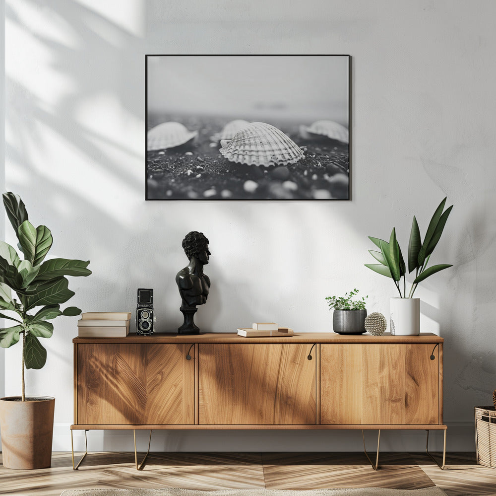 Muschel-Gelassenheit | Poster