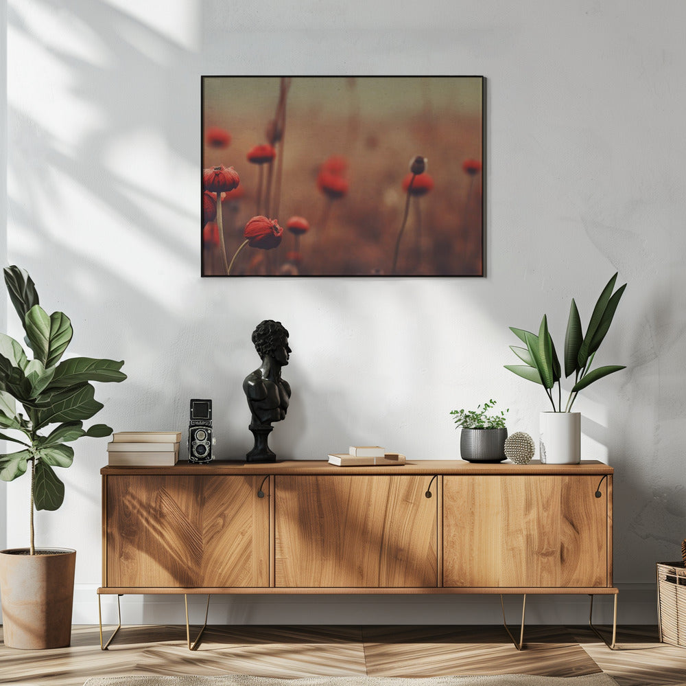 Mohnträume | Poster
