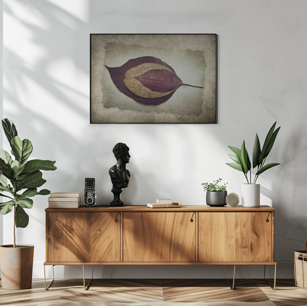 Die Geschichte der Natur | Poster