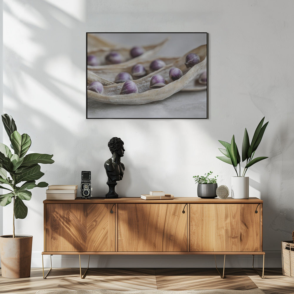 Lila Samen Symphonie | Poster