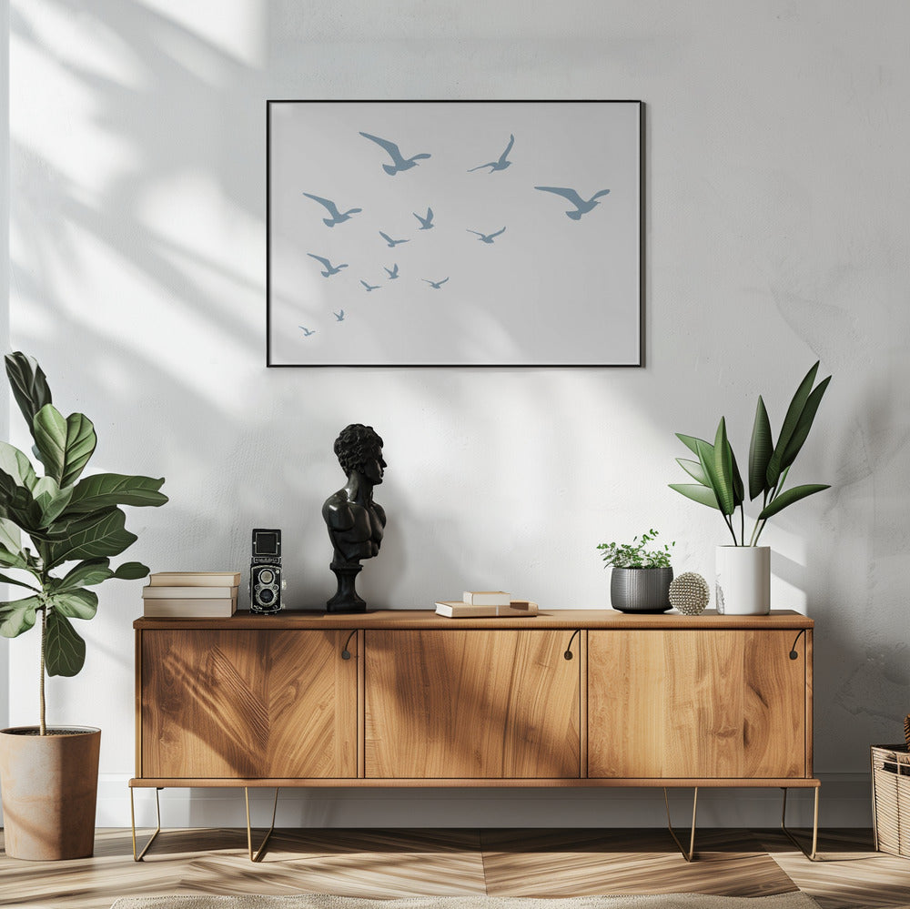 Seagulls White Background | Poster