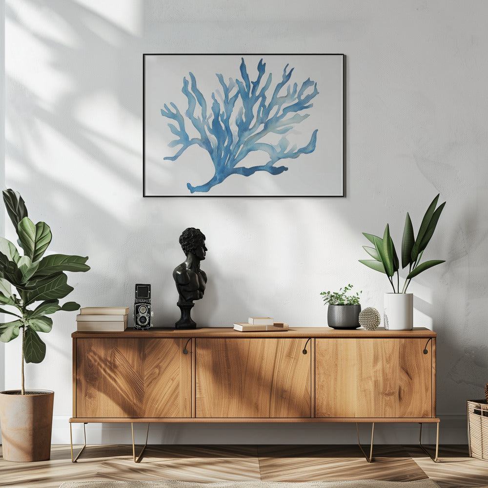 Blaue Koralle | Poster