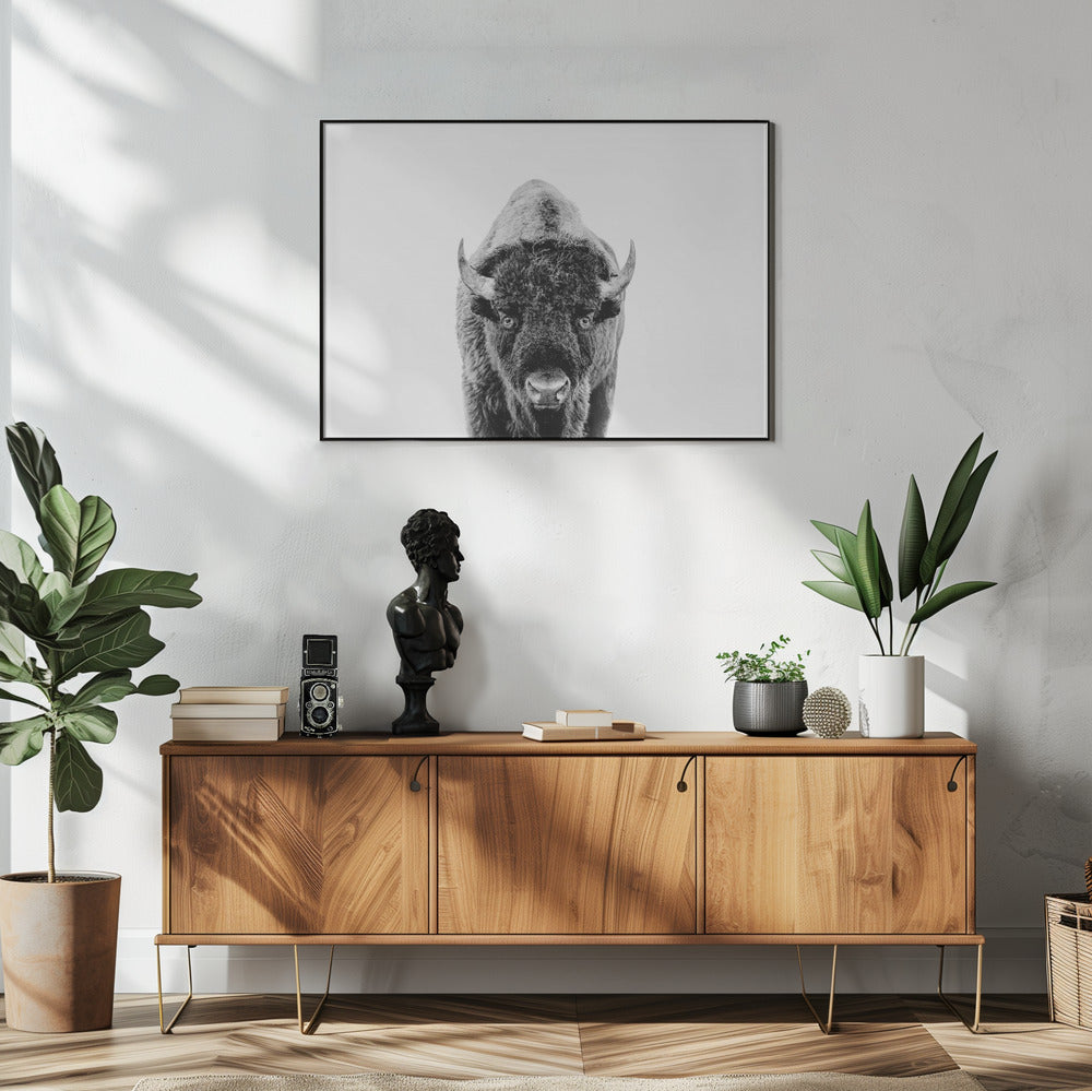Bison Bw | Poster